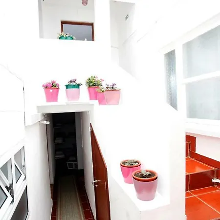 Azoresdream Maison d'hôtes Velas