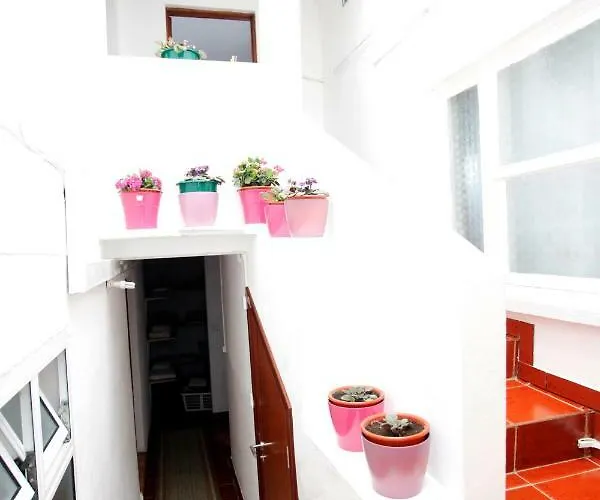 Azoresdream Πανσιόν Velas